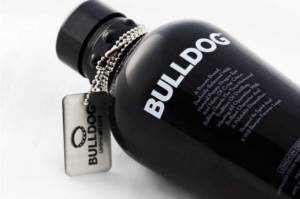 Bulldog-Gin1