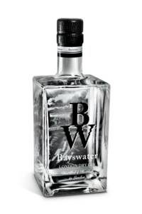 bayswater gin